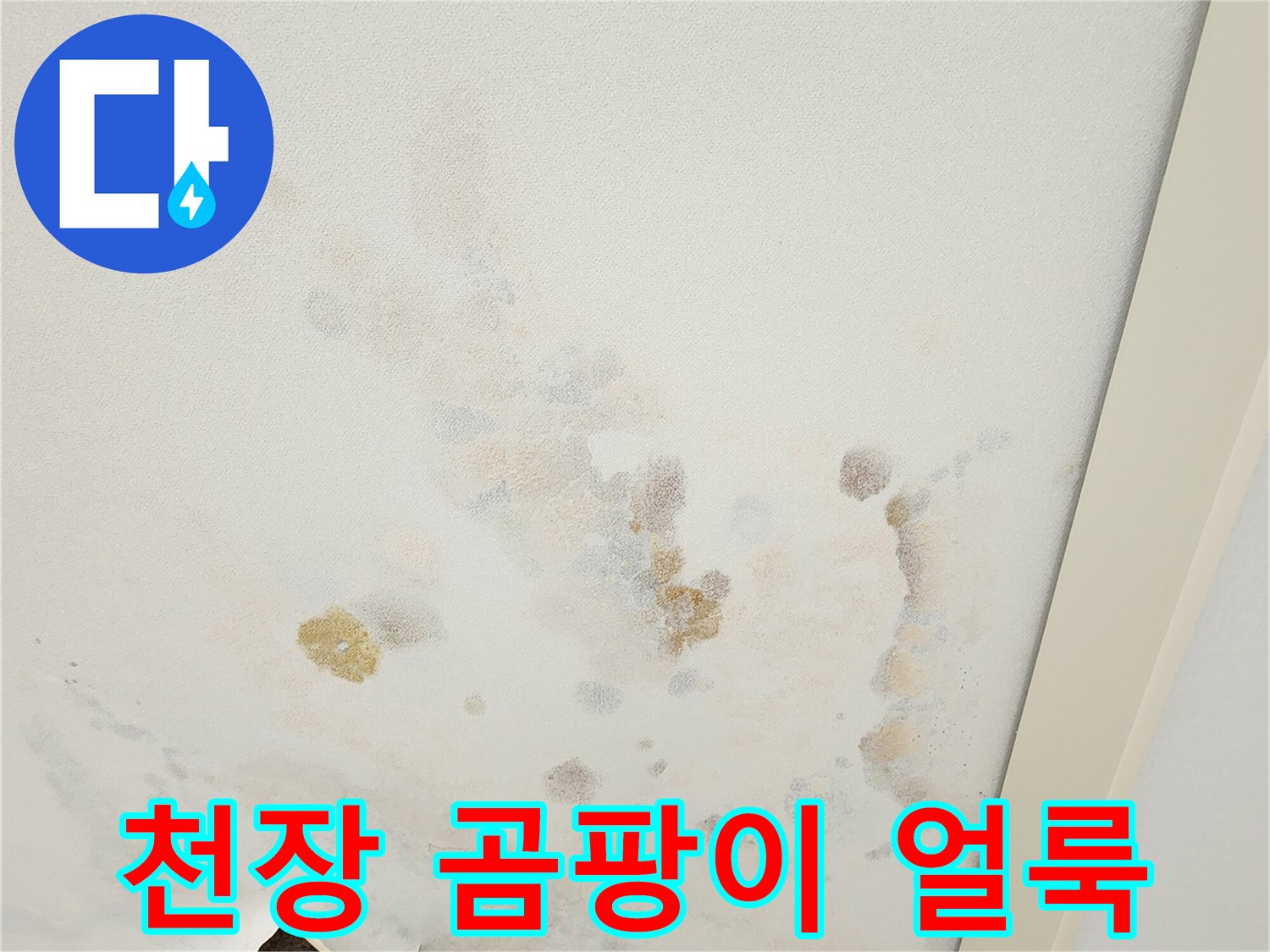 천장 벽면에 나타난 광범위한 누수 흔적과 곰팡이