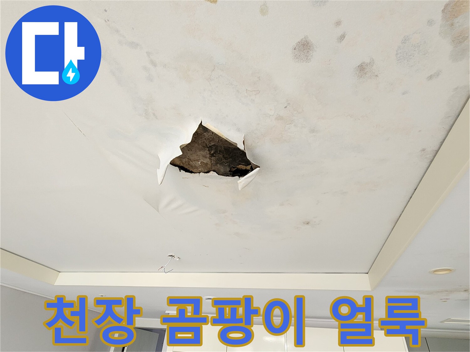 포천 무봉리 아파트 천장 마감재의 곰팡이와 물얼룩 상태