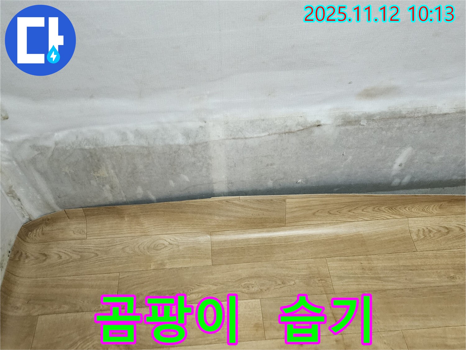 포천 소흘읍 누수 현장 - 벽 하단 곰팡이 핀 벽과 습기, 정확한 원인 파악과 해결이 중요합니다 - 전문가와 함께하세요.