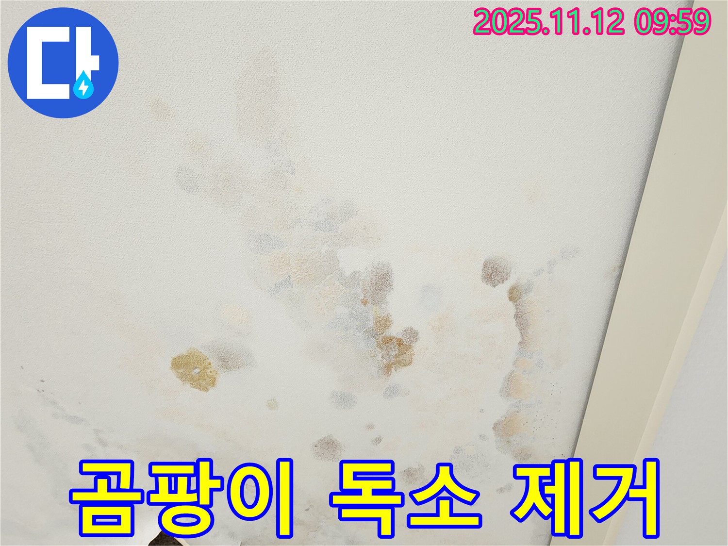 포천 소흘읍 무봉리 누수 현장 - 곰팡이 독소 제거 전문 시공