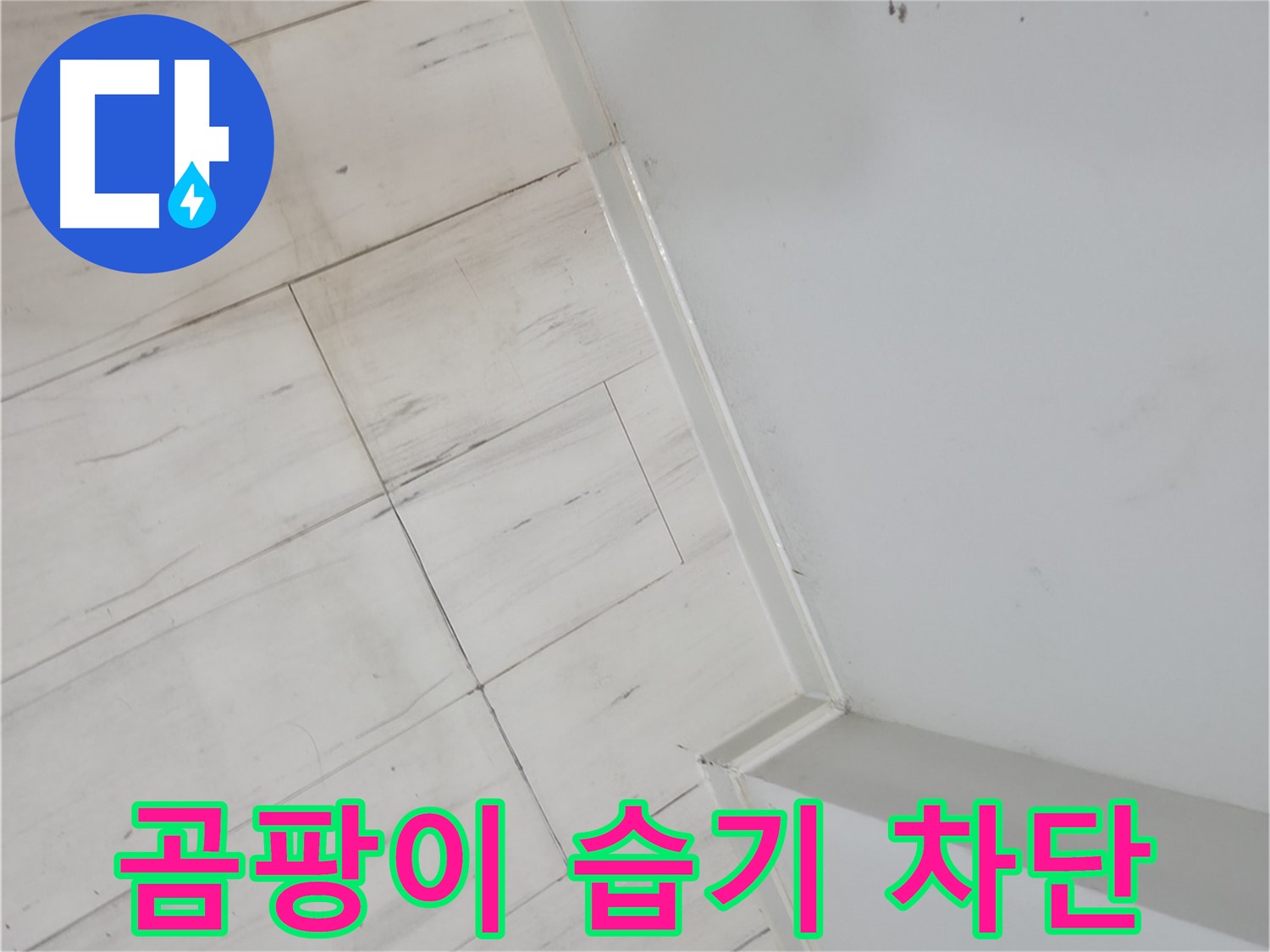 관악구 벽 모서리 곰팡이 - 습기 누수 차단