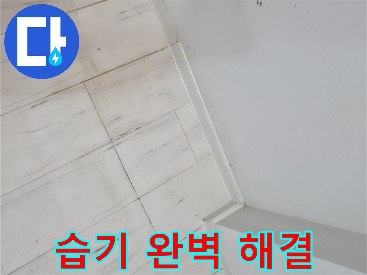 관악구 젖은 마루 습기 누수 쾌적한 환경 조성