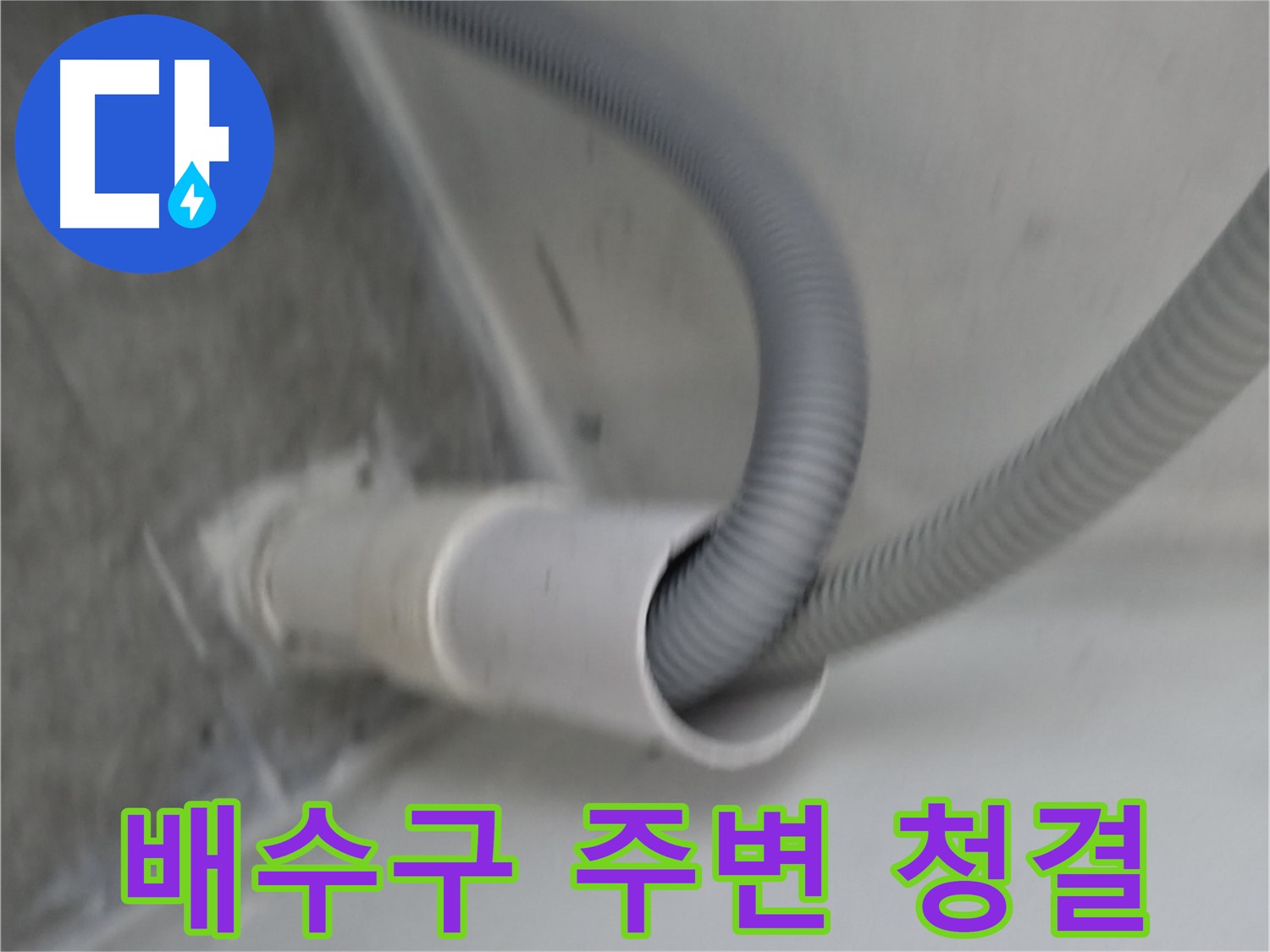 관악구 하이츠빌라 세탁기 호스 배수구 주변 청결 유지