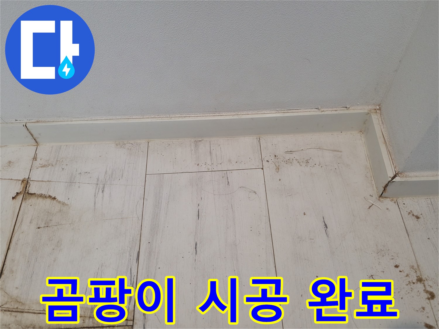 신림 누수 - 마루 곰팡이 제거 후 시공 완료 - 쾌적한 환경