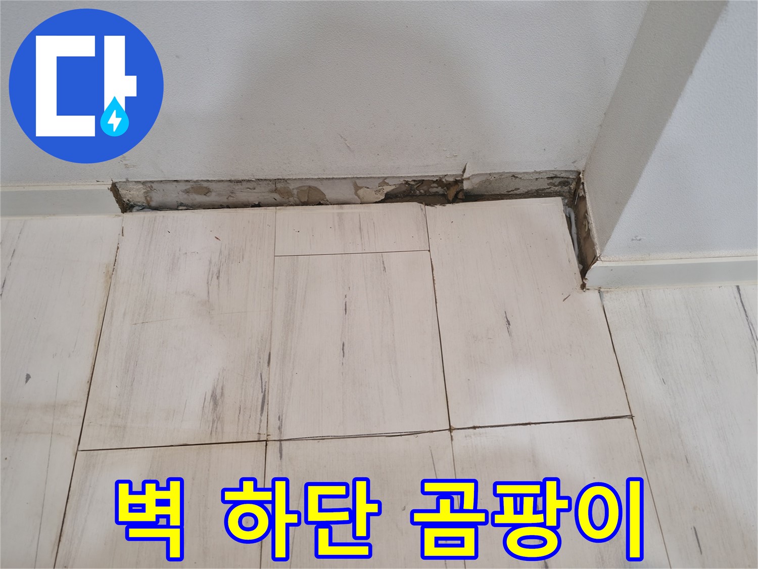 신림동 관악구 누수 - 벽면 하단 곰팡이 시작 - 건강에 적신호!