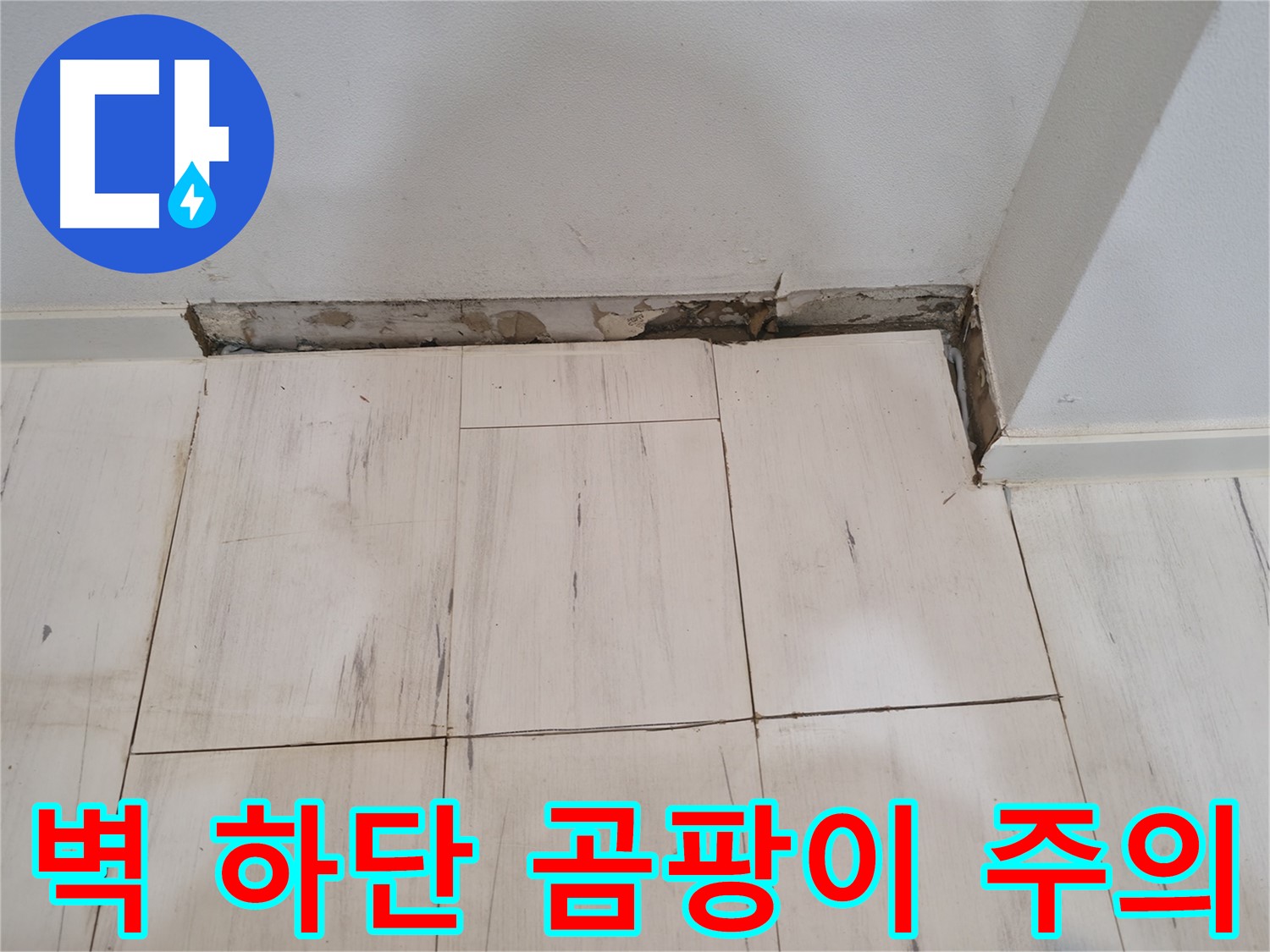신림동 관악구 누수 - 벽면 하단 곰팡이 주의 - 건강 적신호!