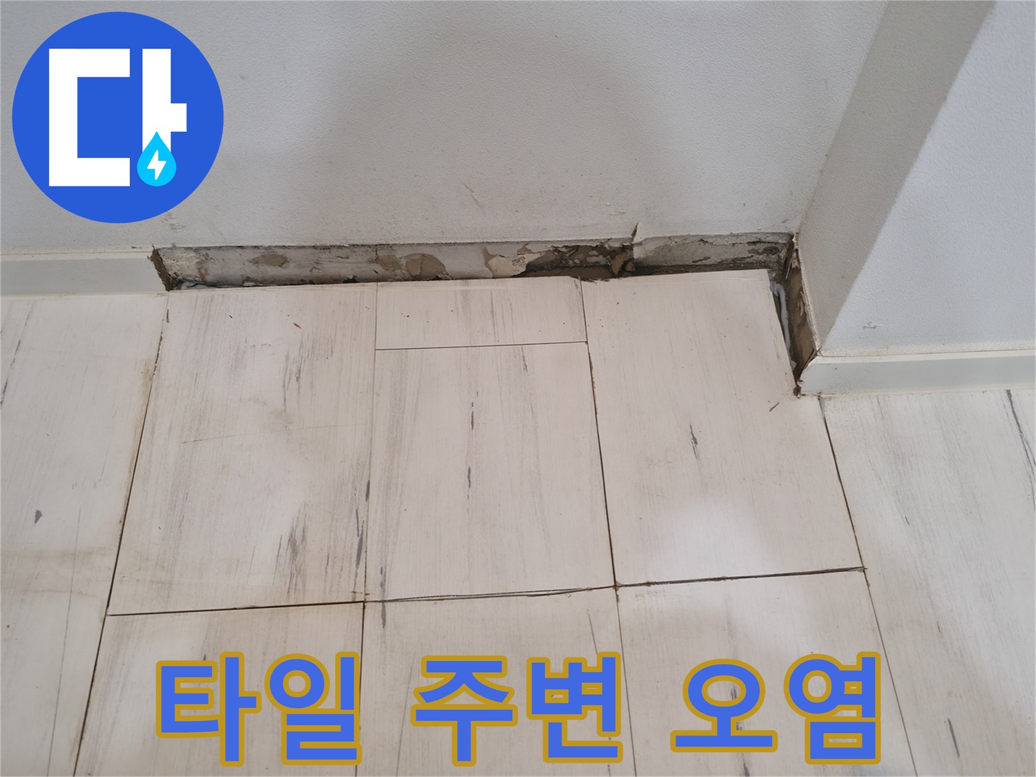 신림동 관악구 누수 - 타일 주변 오염 확인 - 곰팡이 발견!