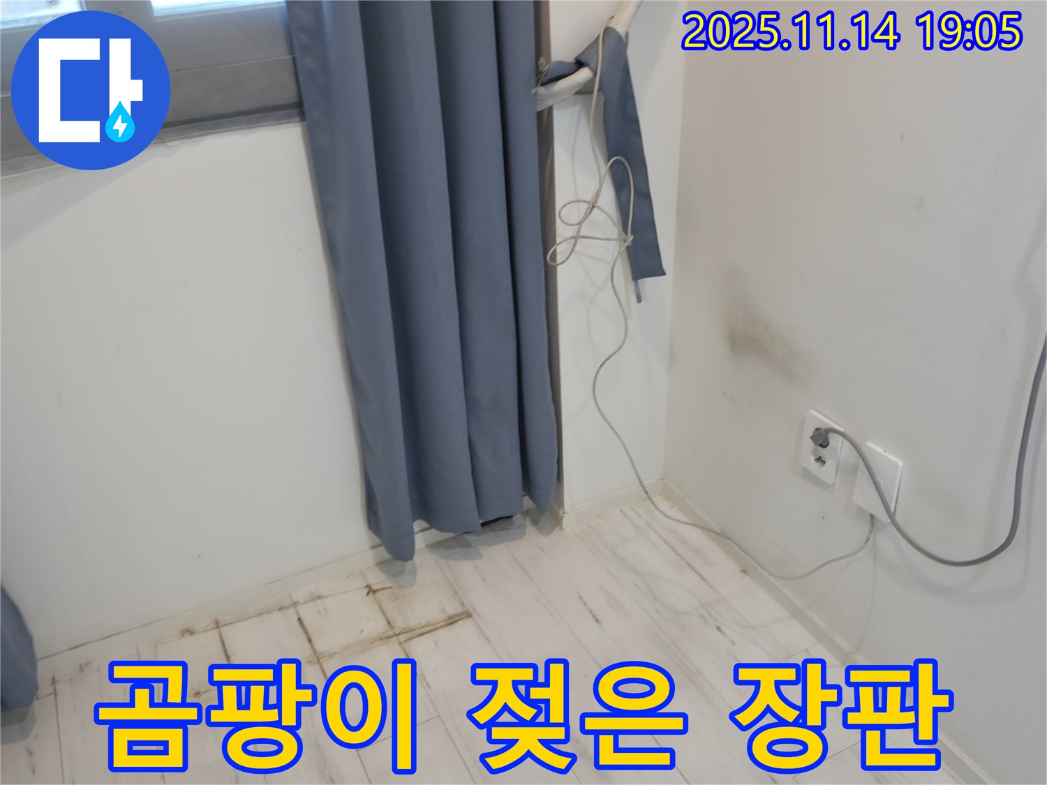신림동 누수 - 곰팡이 냄새와 젖은 장판 - 누수 원인 찾기