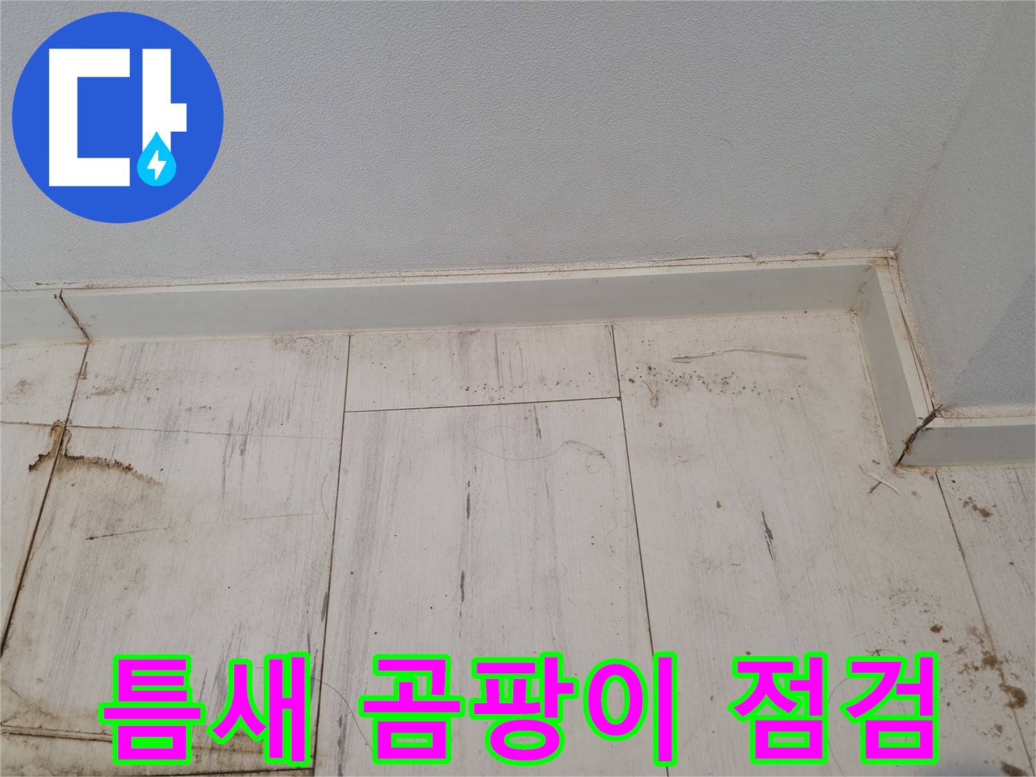 신림동 누수 - 마루 틈새 곰팡이 긴급 점검 - 누수 흔적 확인