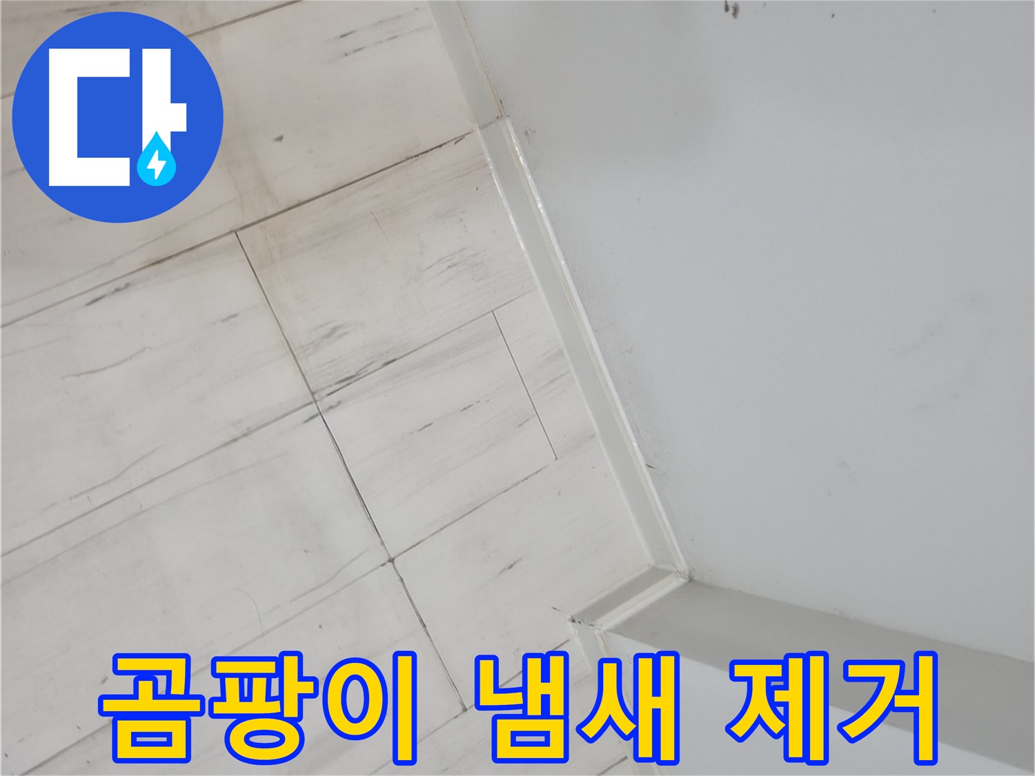 신림동 벽 모서리 곰팡이 - 냄새 제거