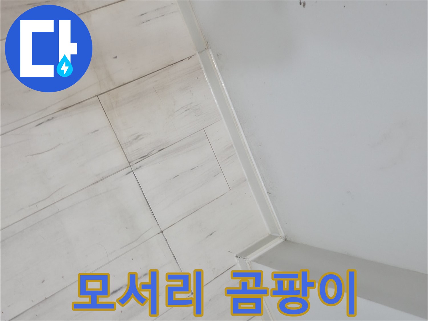 신림동 벽 모서리 곰팡이 - 누수 신호