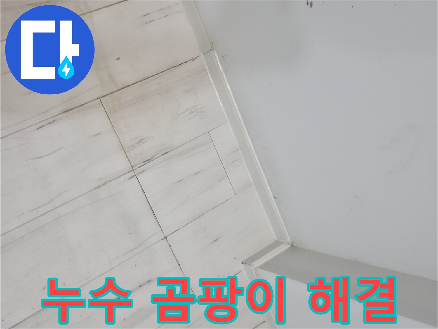 신림동 빌라 장판 밑 곰팡이 누수 해결