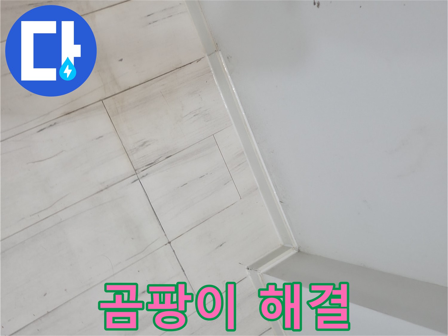 신림동 장판 틈새 곰팡이 누수 - 누수 걱정 없는 편안한 생활 보장