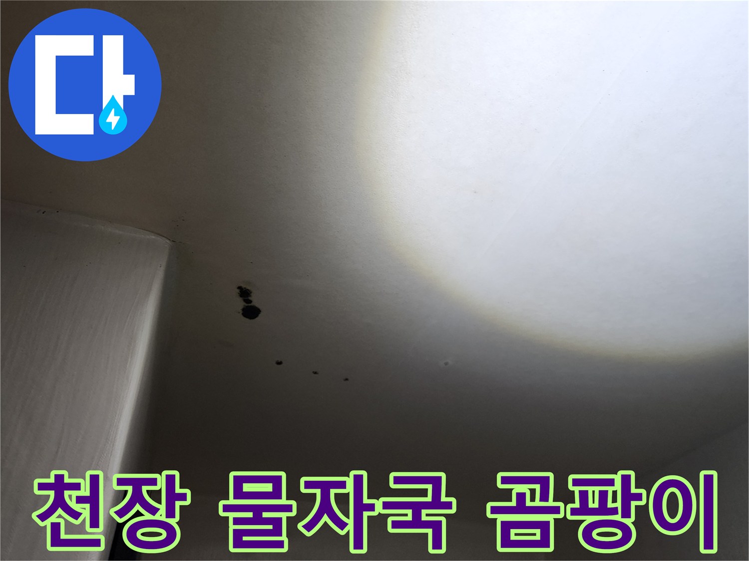 구읍리 현장-천장에 나타난 누수 흔적과 곰팡이 오염 상태