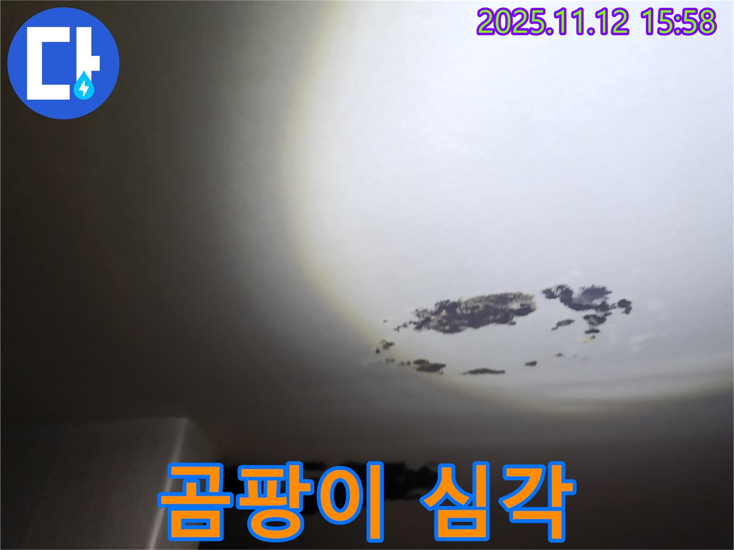 군내면 - 곰팡이로 얼룩진 천장 누수 현장