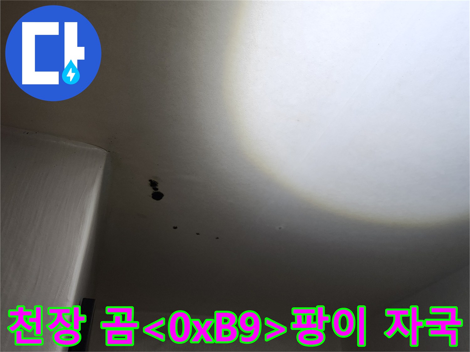 습기로 인해 발생한 천장 곰팡이와 물 얼룩 부위