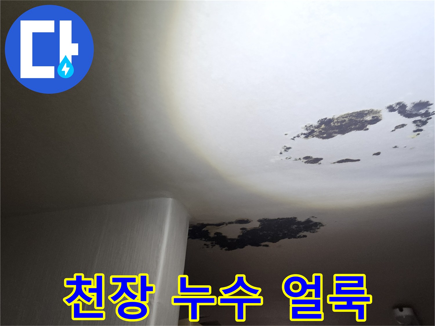 심각한 오염이 진행된 천장 곰팡이 부위 사진