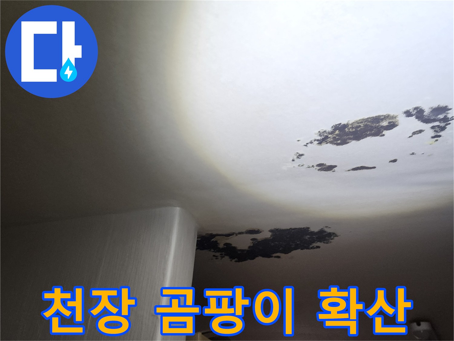천장 구석까지 번져 있는 검은색 곰팡이 오염 부위