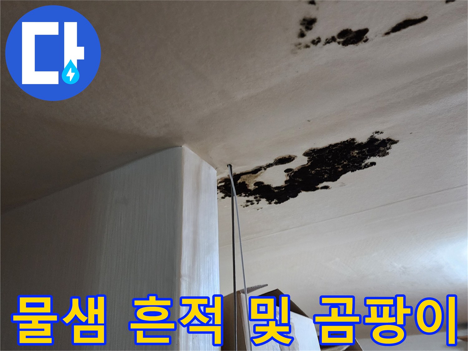 천장 마감재에 나타난-심한 누수 흔적과 곰팡이 오염