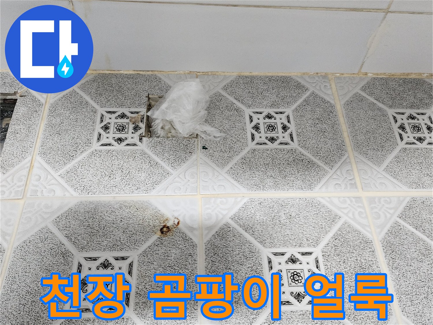 포천 구읍리 현장-천장 텍스에 발생한 검은 곰팡이와 물자국