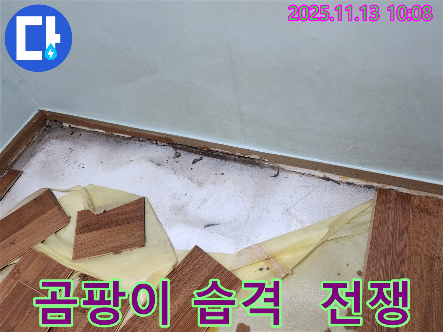 용정리 누수 - 장판 밑 곰팡이 습격 - 곰팡이와의 전쟁을 선포하고 해결하는 과정을 담았습니다.