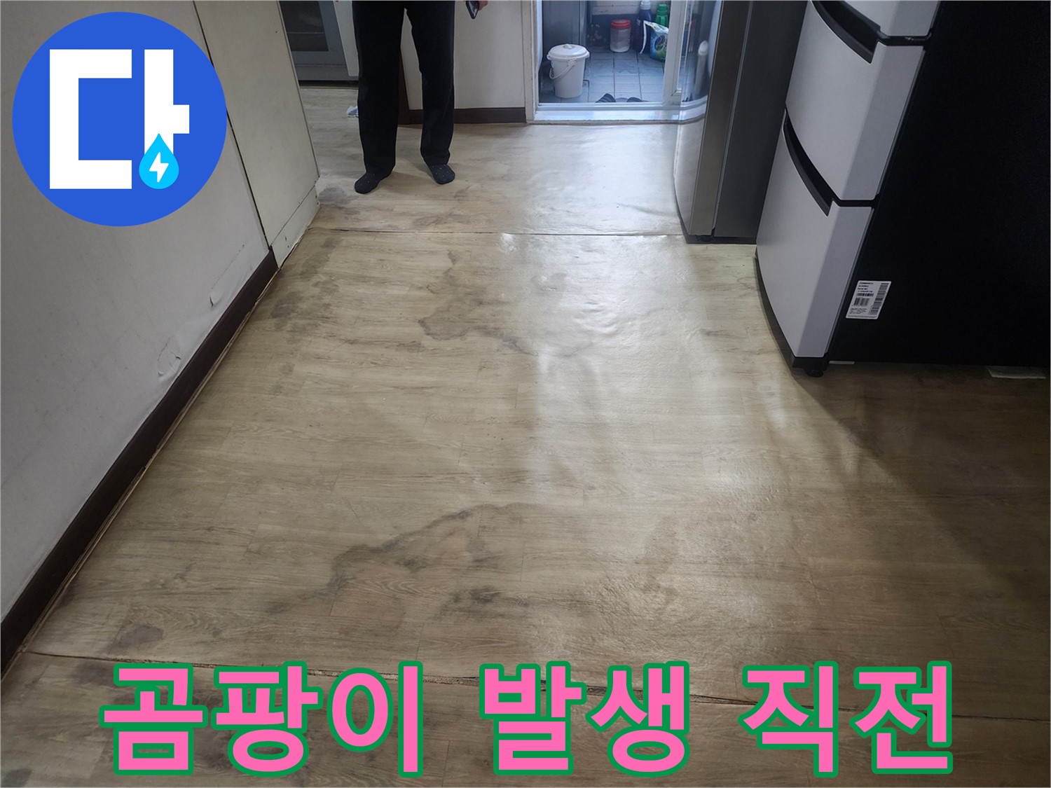 권선구 아파트 누수 - 장판 밑 물기, 곰팡이 발생 직전 의심 - 즉시 점검 필요