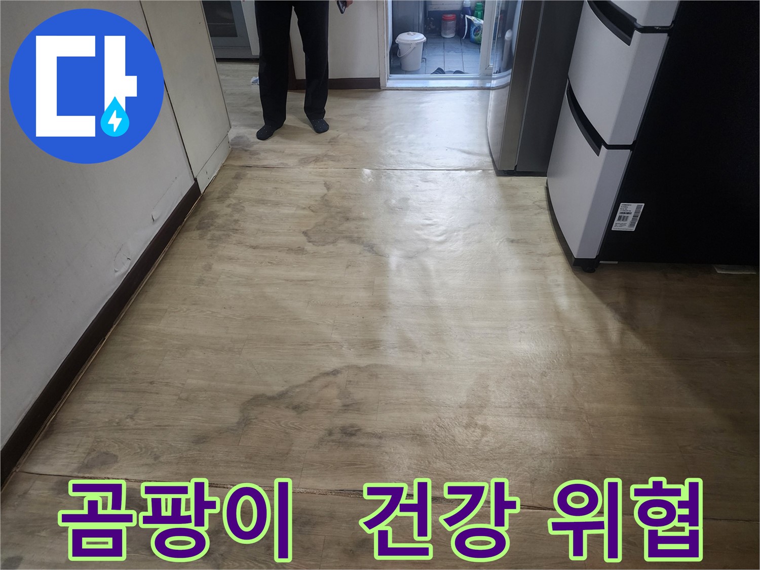 수원 아파트 누수 - 장판 밑 곰팡이 번식, 건강까지 위협 - 빠른 곰팡이 제거 및 누수 해결 필요