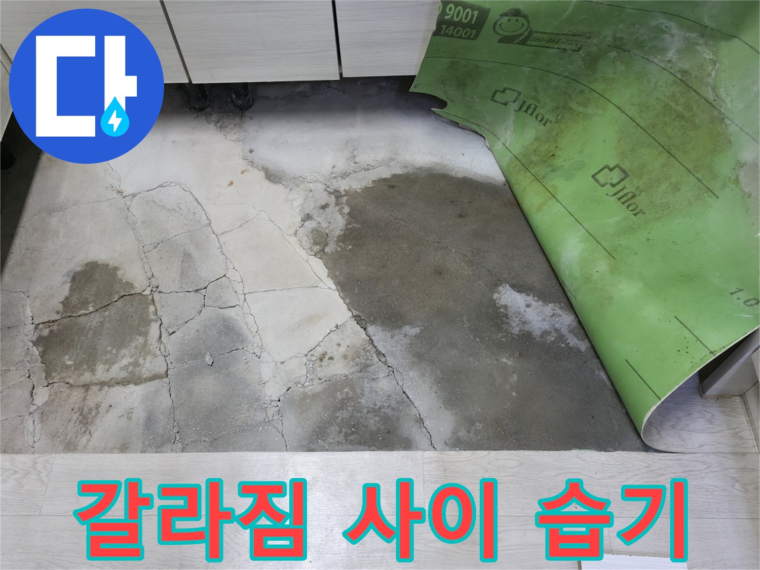 포천 빌라 누수 - 콘크리트 갈라짐 사이 습기 - 정밀 점검