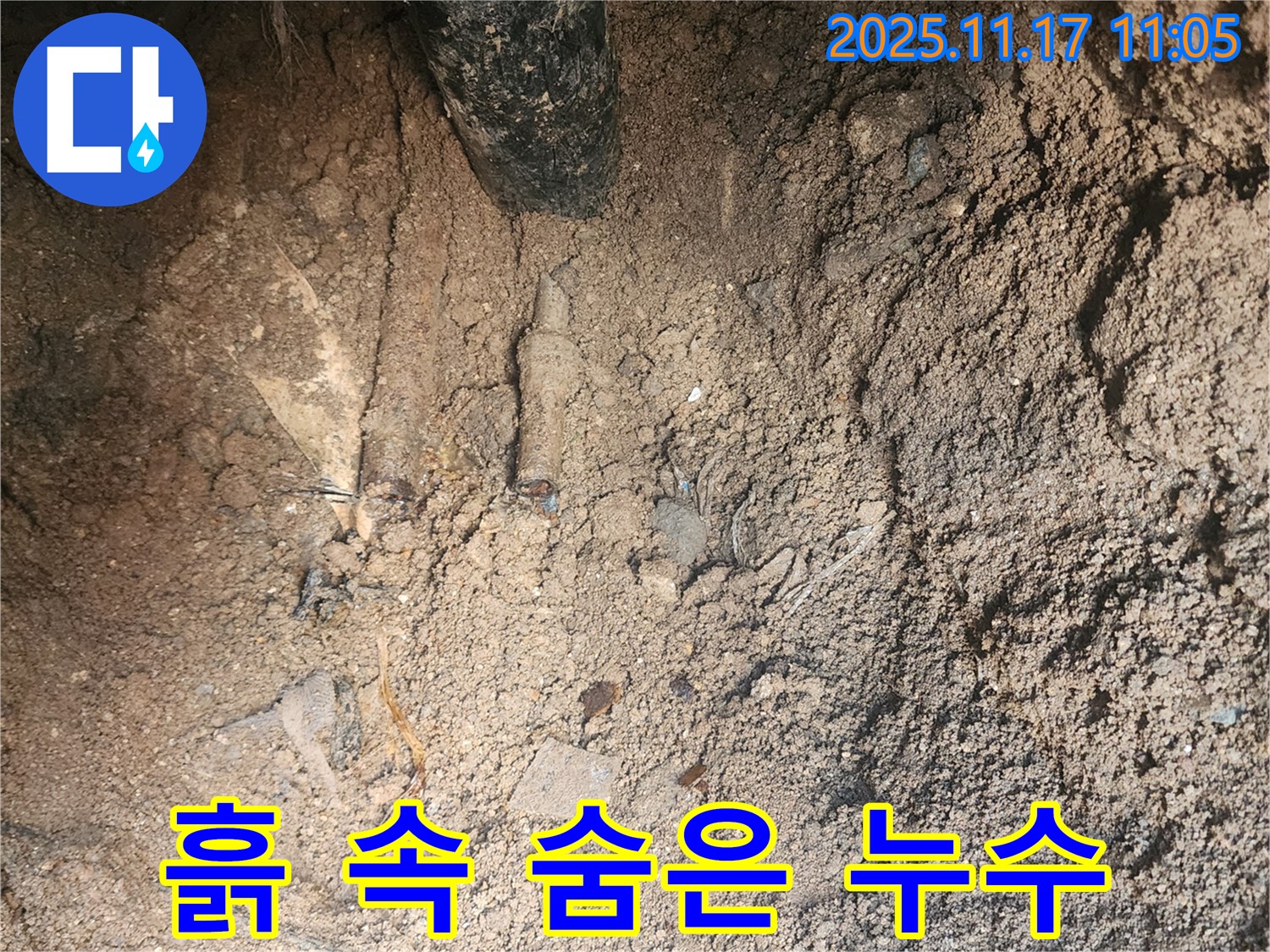 포천 군내면 상성북리 누수 - 흙 속에 숨어있던 누수 지점 발견
