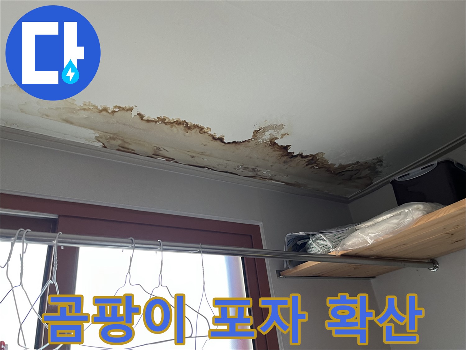 의정부 가능동 빌라 천장 누수 - 곰팡이 포자 확산 방지를 위한 긴급 조치!