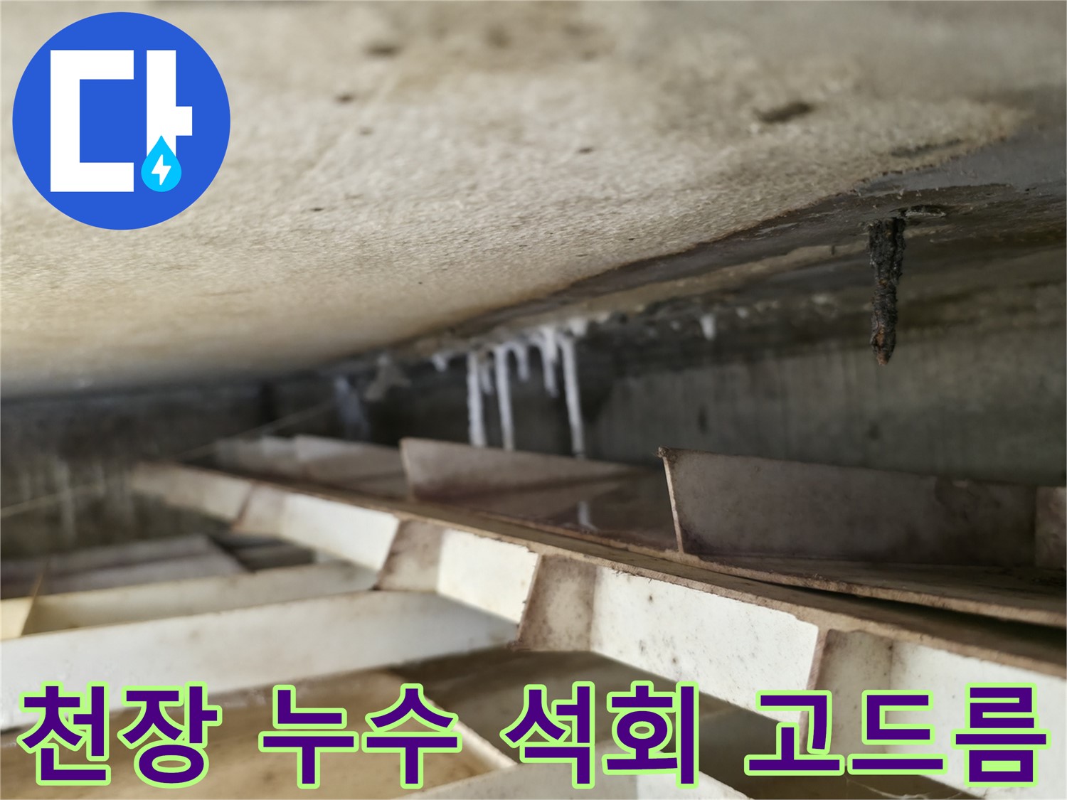 독산로43가길 누수 현장 - 천장에 매달린 석회 고드름은 슬라브 누수의 흔적을 보여줍니다. 빠른 조치가 필요합니다.
