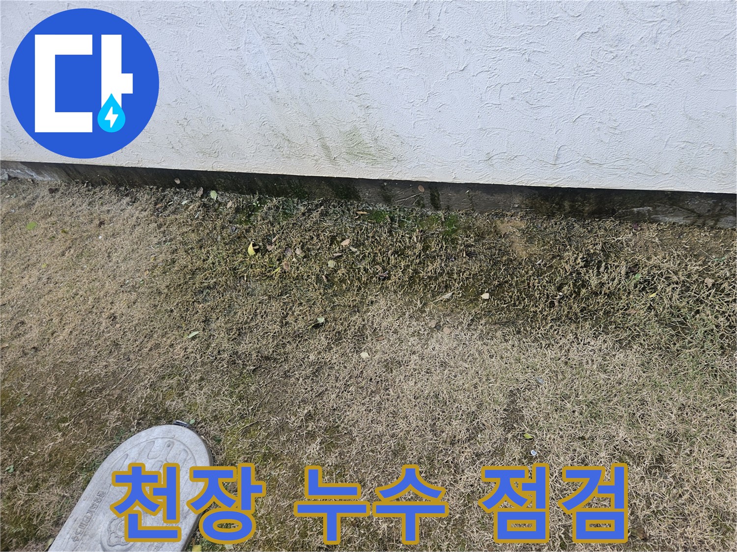 이천 율면 산양리 누수 - 주택 천장 누수 긴급 점검 중