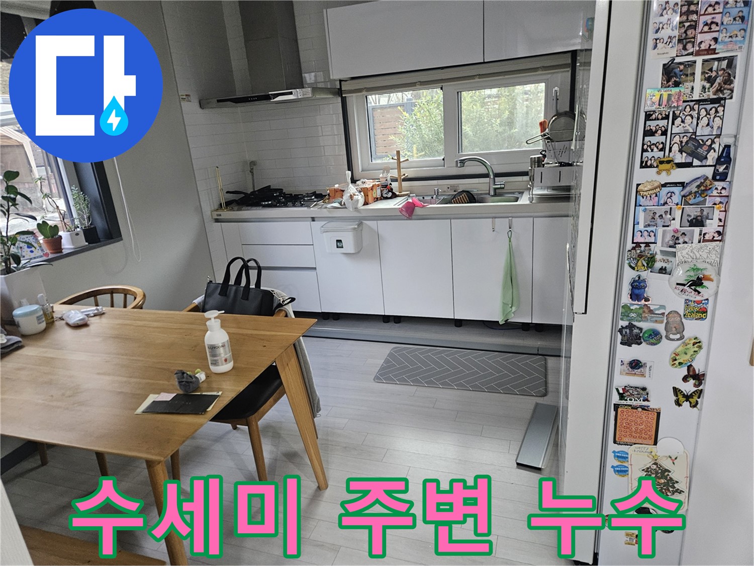 이천 아리역로 주방 누수 - 수세미 주변 누수, 곰팡이 주의