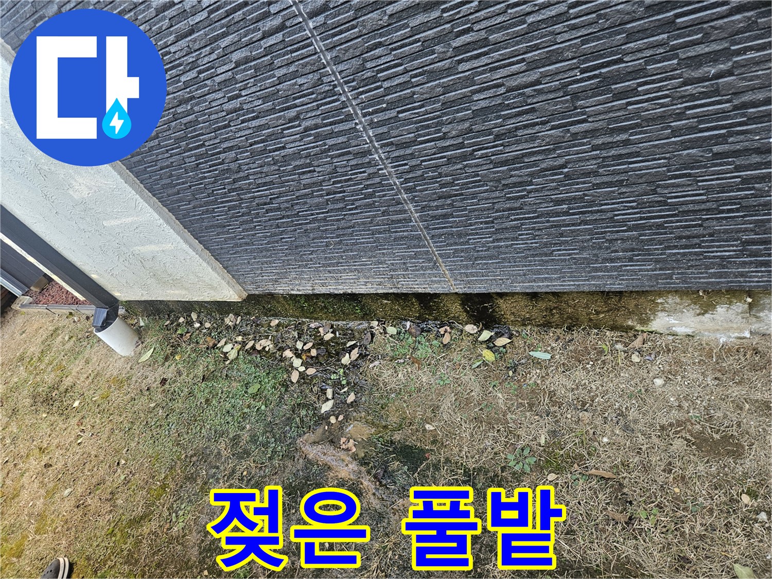 이천시 마장면 아리역로 외벽 누수 의심 - 젖은 풀밭 - 습기 주의