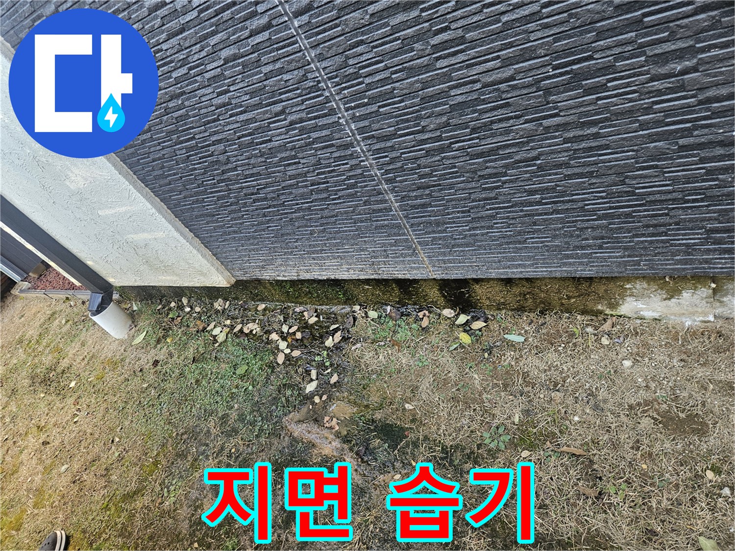 이천시 마장면 아리역로 인근 외벽 누수 의심 - 지면 습기 - 습도 조절 필요