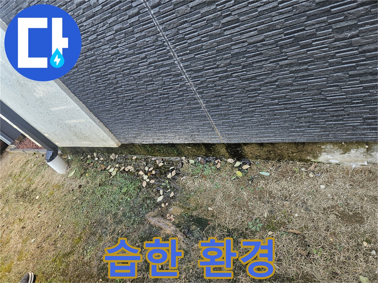 이천시 마장면 해월리 주변 외벽 누수 의심 - 습한 환경 - 곰팡이 번식 주의