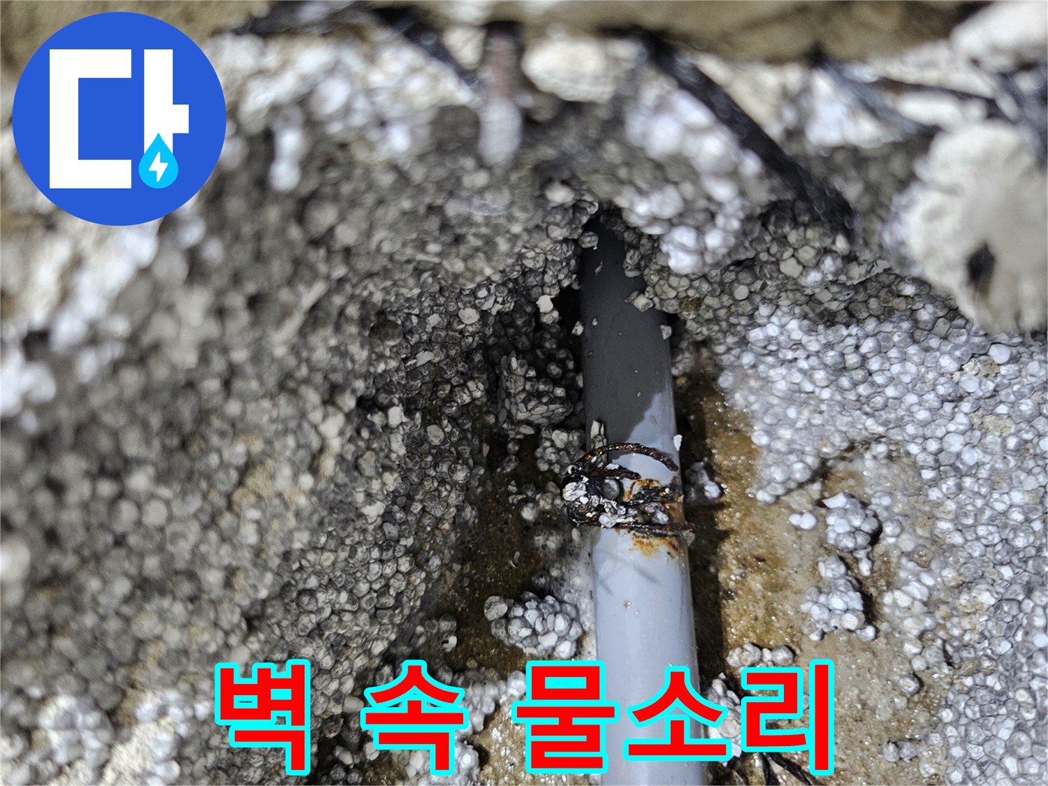 이천시 아리역로 누수 - 벽 속에서 물 흐르는 소리, 누수 위치 탐지