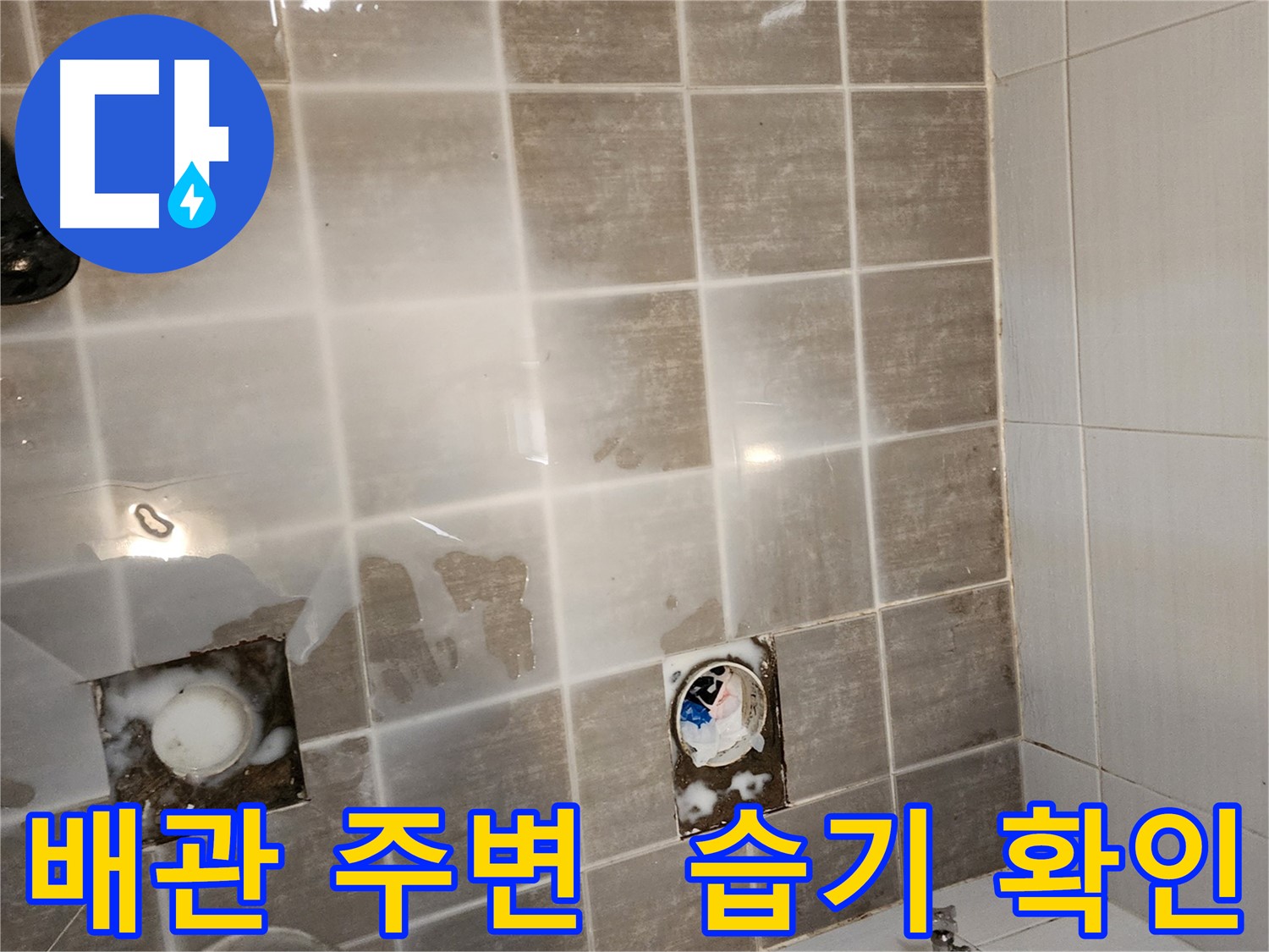 타일 제거 후 배관 주변 습기를 집중적으로 확인합니다 - 배관 누수 가능성을 점검합니다.