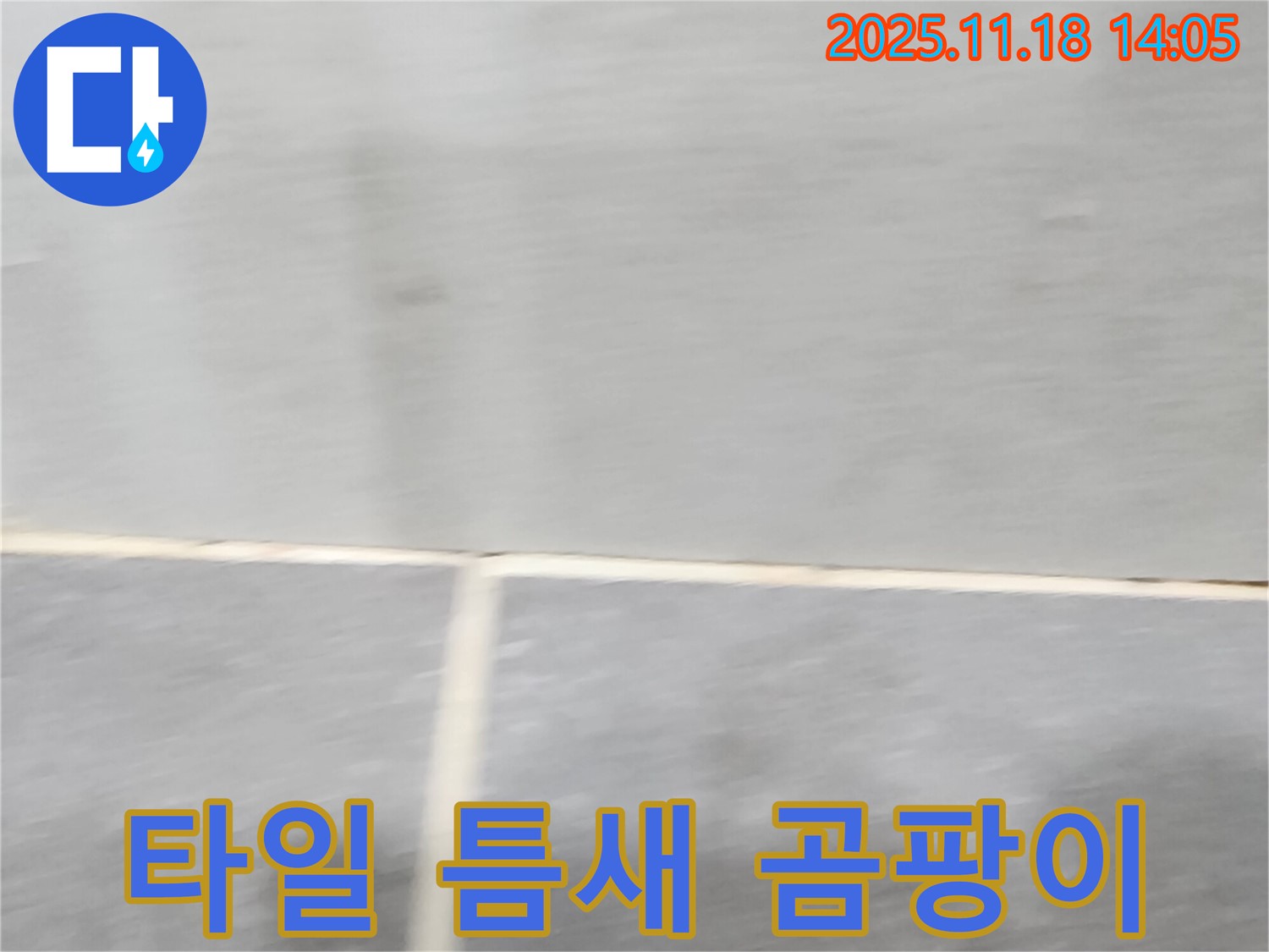 내촌면 누수 탐지 현장 - 욕실 타일 틈새 곰팡이 사진입니다. 누수 신호일 수 있습니다.