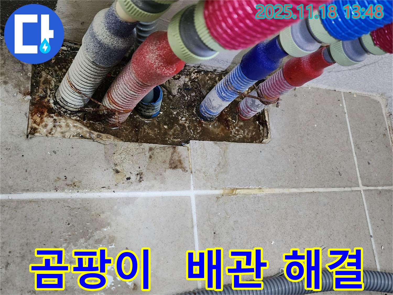 진목리 누수 - 곰팡이 핀 벽, 배관 문제 해결로 쾌적한 공간 완성!