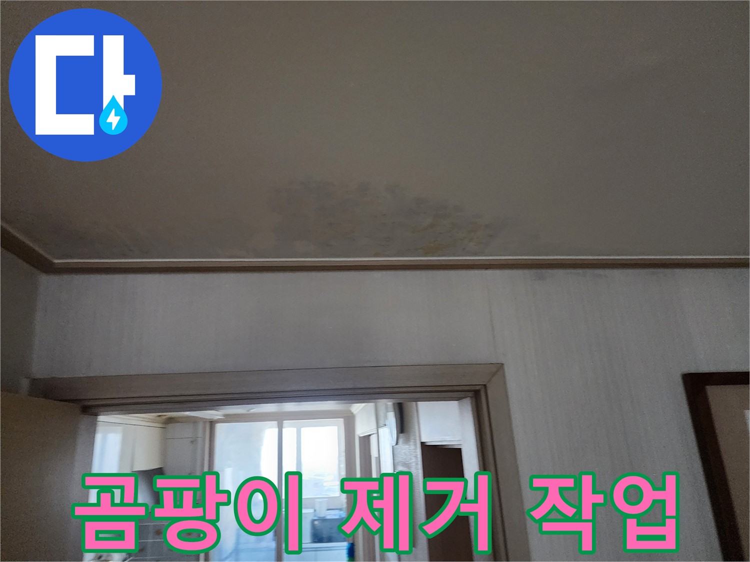 광명 철산동 두산위브 아파트 천장 곰팡이 제거 작업 - 누수 전문가가 곰팡이를 제거하고 있습니다.