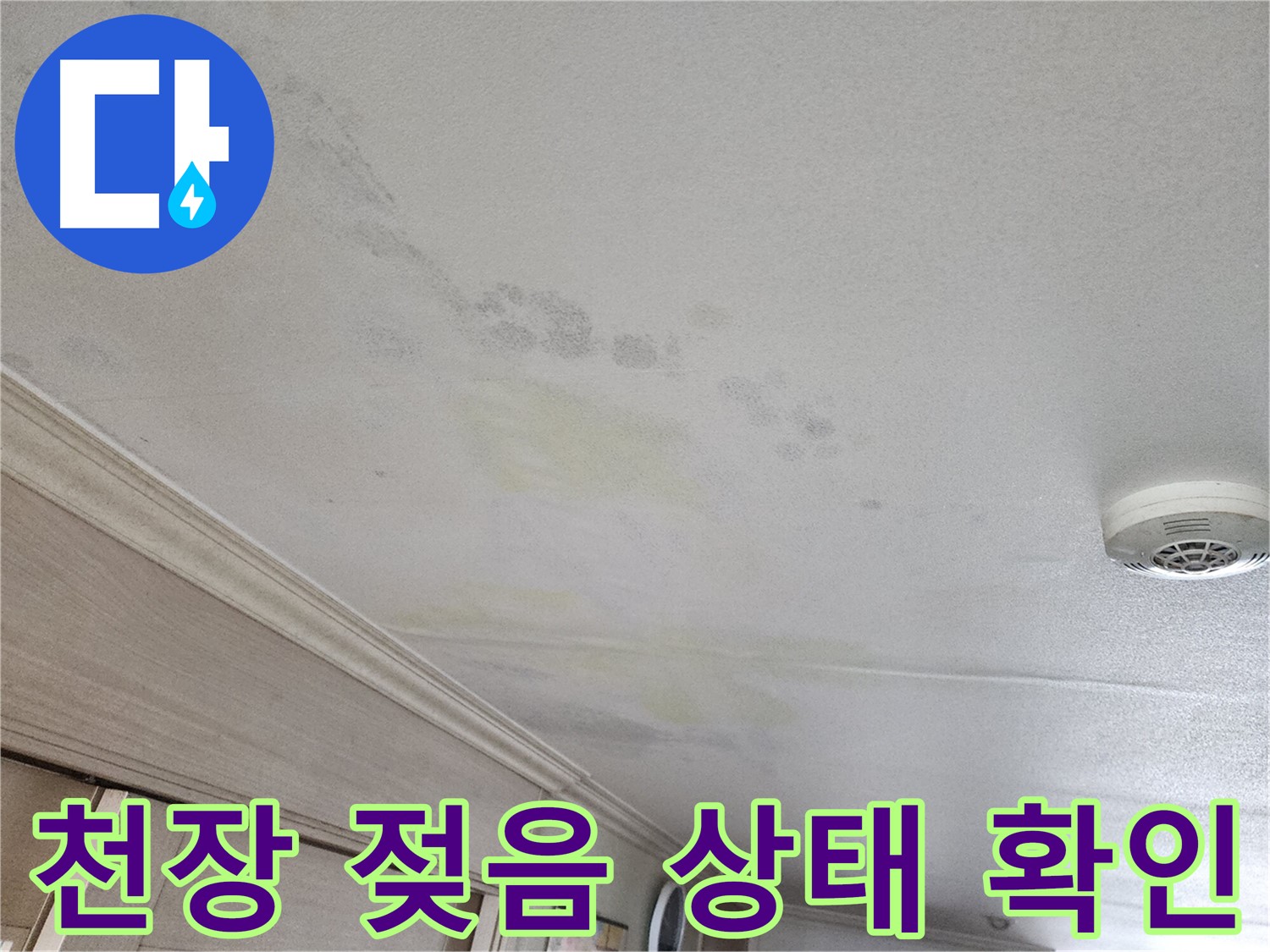 철산동 두산위브 103동 천장 젖음 - 누수 상태 점검