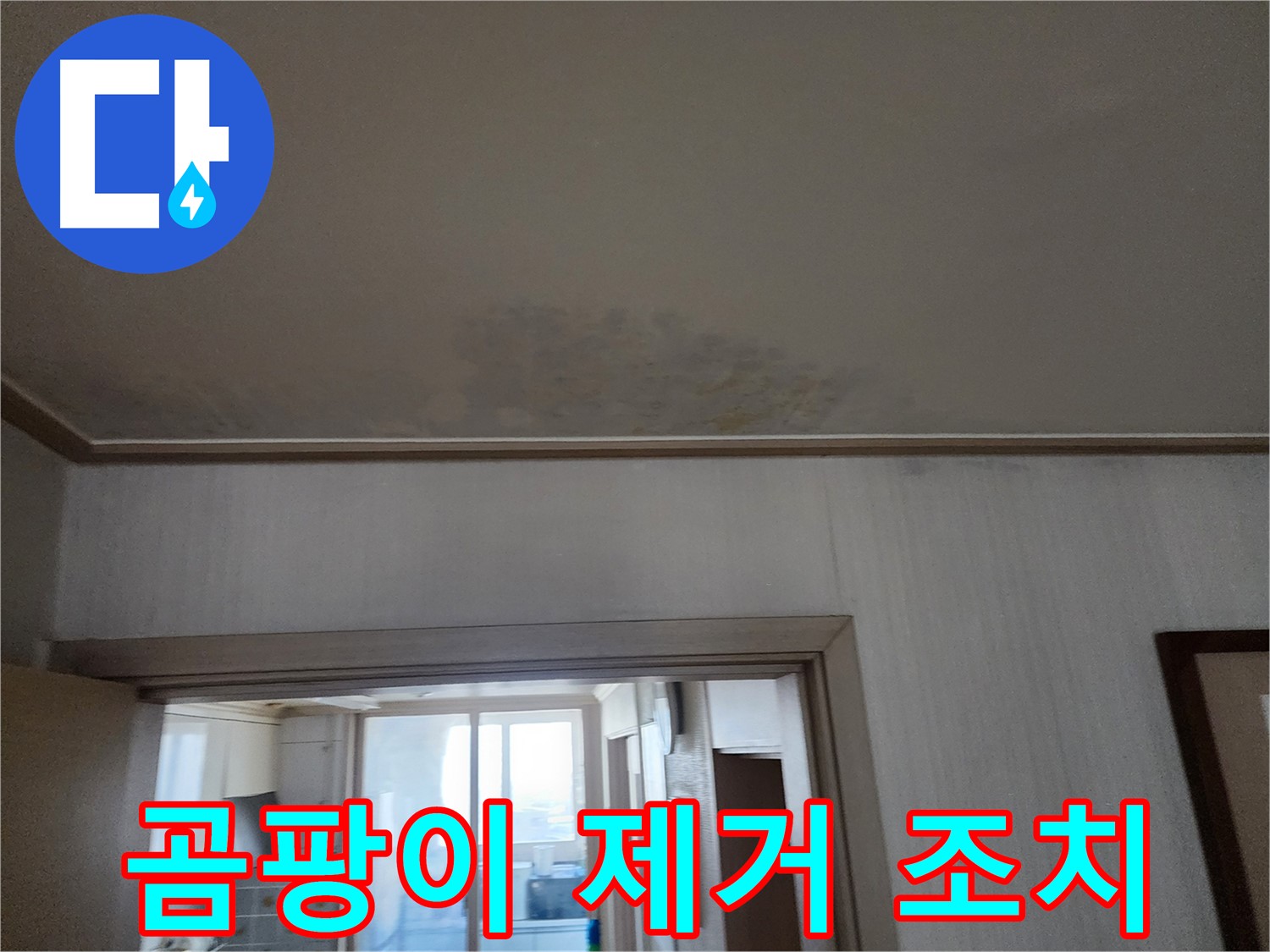 철산동 두산위브 아파트 천장 누수 진단 및 곰팡이 제거 조치 - 누수 전문가가 누수 상태를 진단하고 곰팡이 제거를 포함한 필요한 조치를 취합니다.
