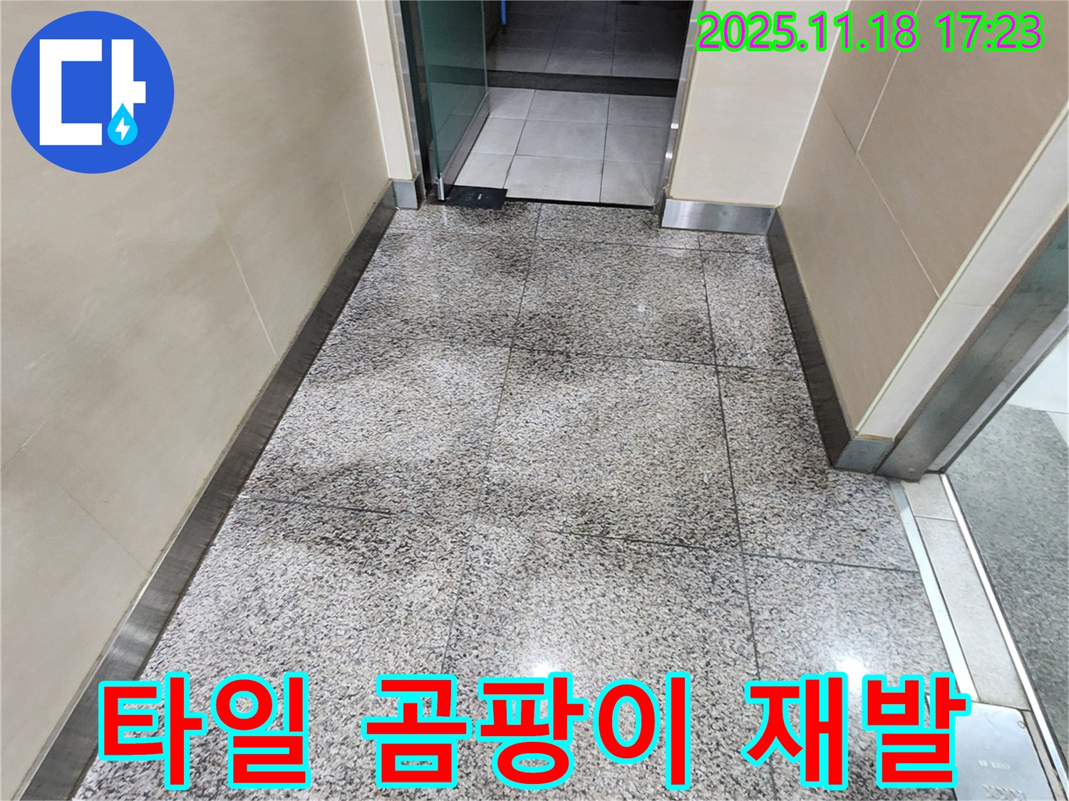 포천시 내촌면 타일 틈새 곰팡이 - 완벽 제거 후 재발 방지 시공까지!