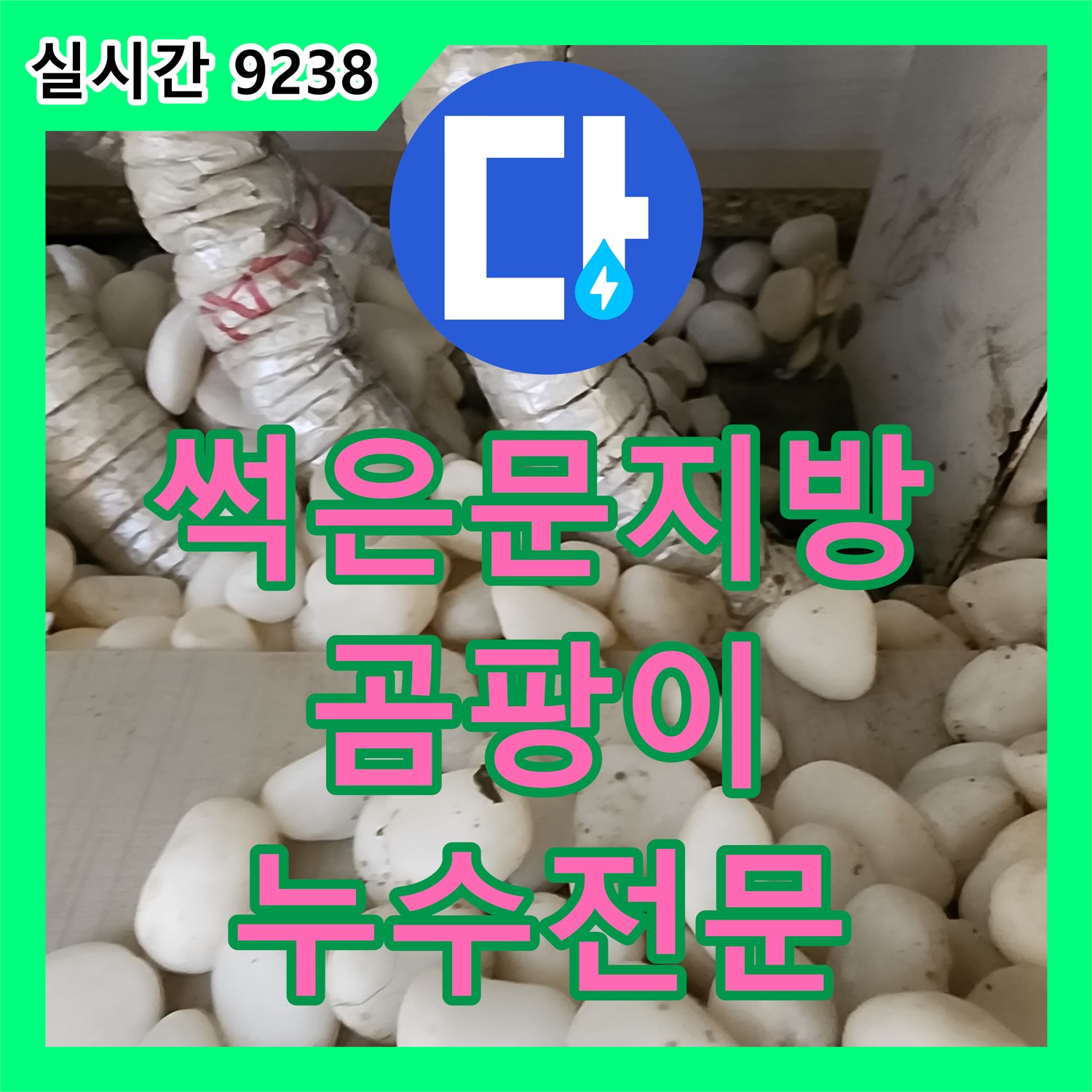 내촌 누수전문, 곰팡이 슬고 썩은 문지방, 원인 꼼꼼하게 찾아 해결