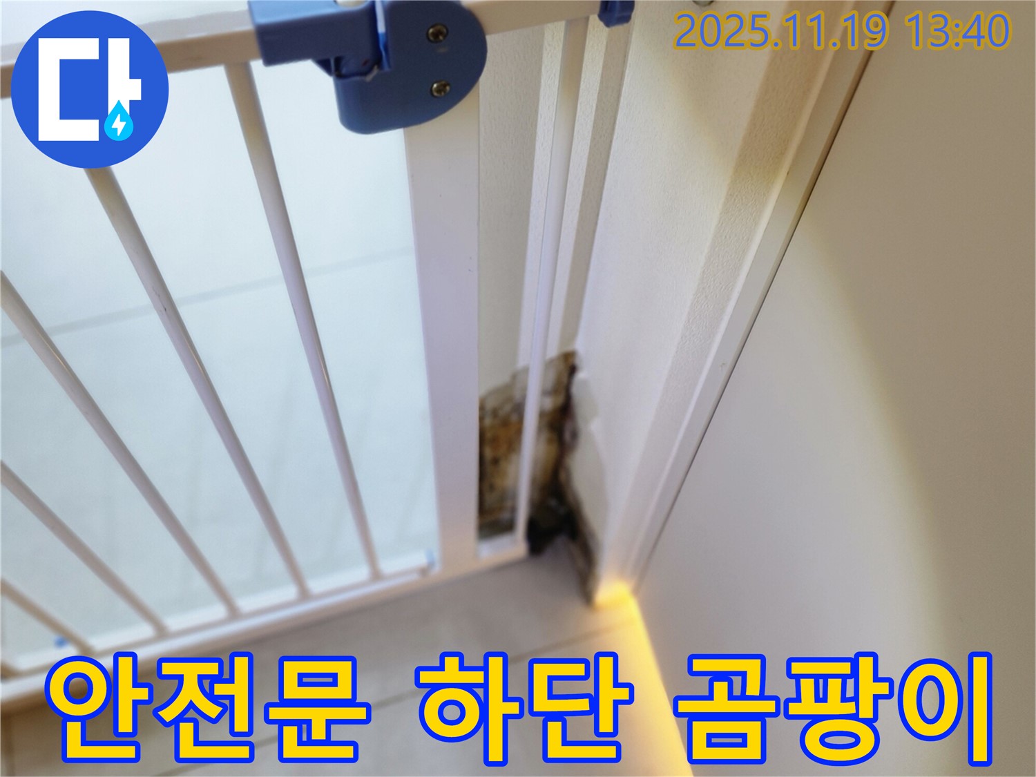 안전 문 하단 벽면 곰팡이 - 누수로 인해 안전문 하단 벽면에 곰팡이가 발생한 모습입니다.