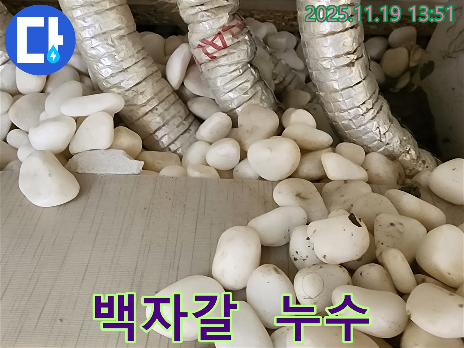 포천 내촌면 누수 - 백자갈 아래 숨겨진 배관 누수를 정확하게 탐지하고 안전하게 보수 완료!