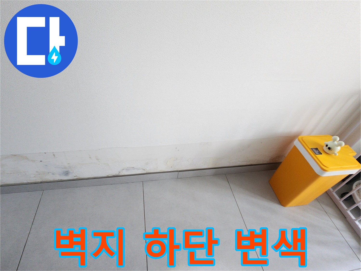 포천 내촌면 현장의 벽지 하단부 변색 및 곰팡이 발생 상태