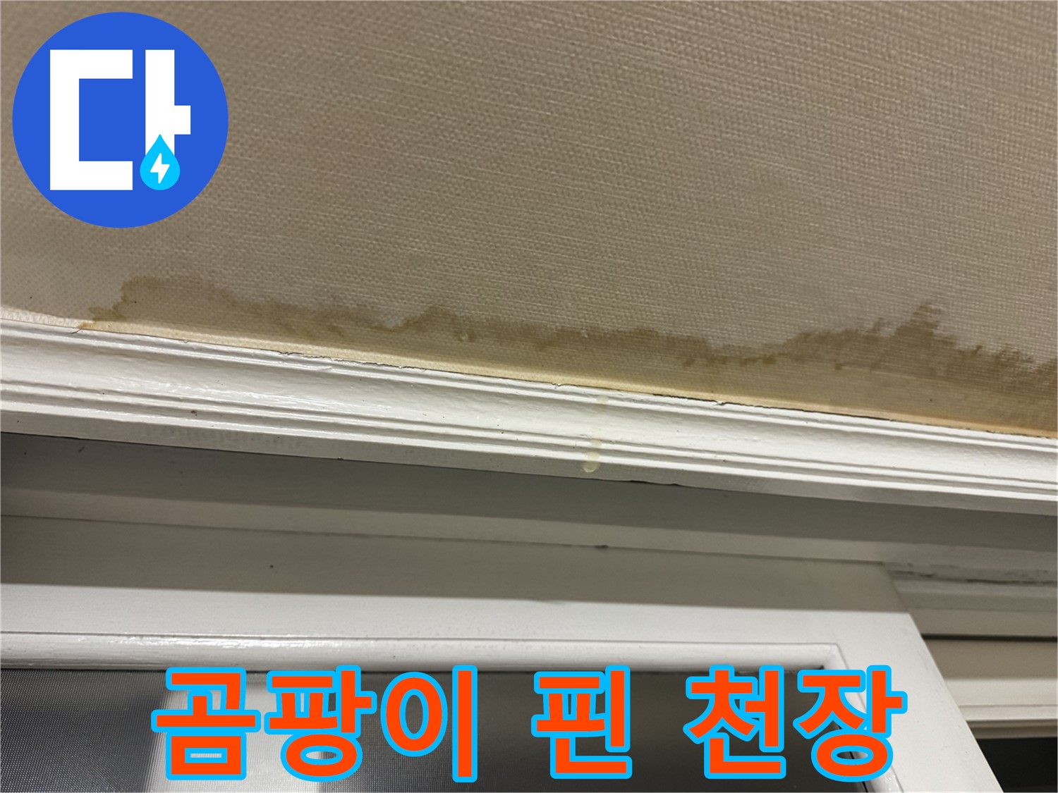 곰팡이로 뒤덮인 천장 - 누수의 심각성을 보여주며 - 건강에 미치는 악영향을 강조합니다.