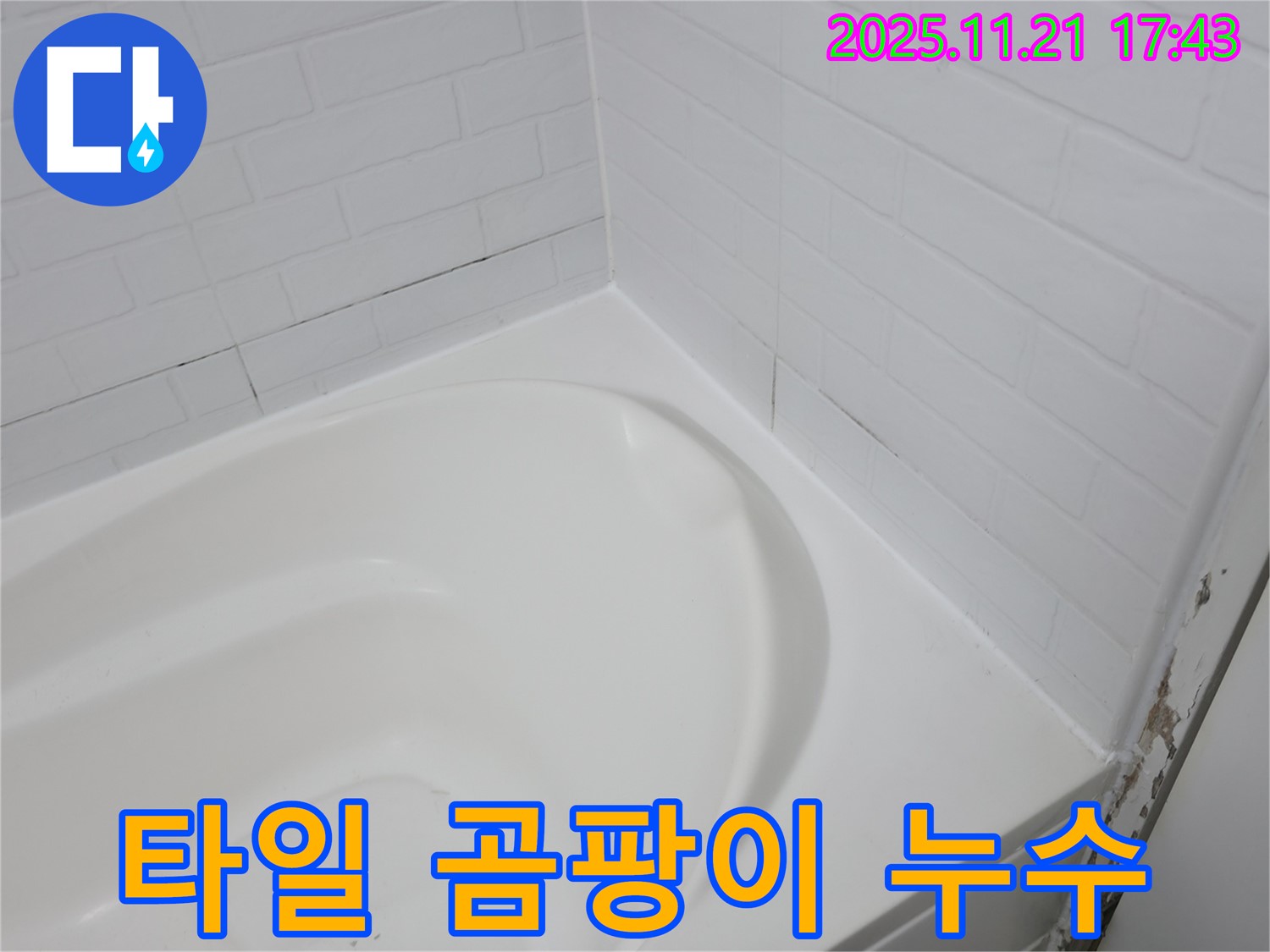 서대문구 세검정 욕조 - 타일 틈새 - 곰팡이와 누수의 콜라보